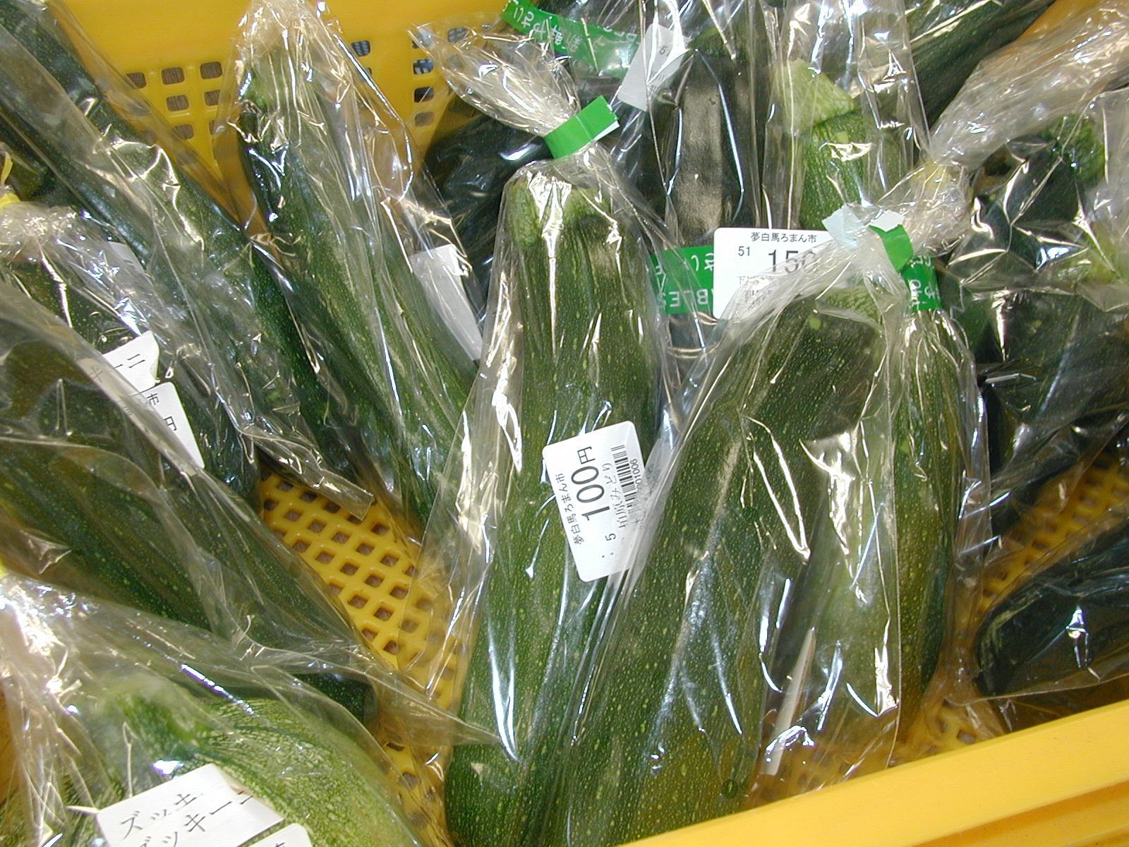 p7050349.jpg